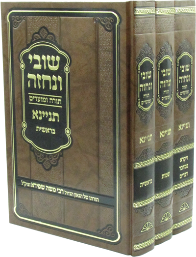 שובי ונחזה  |  תורה ומועדים  |  תניינא